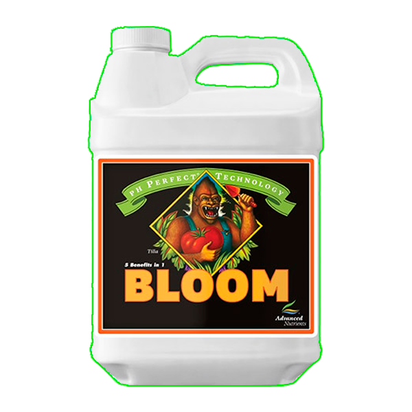 Bloom PH Perfect