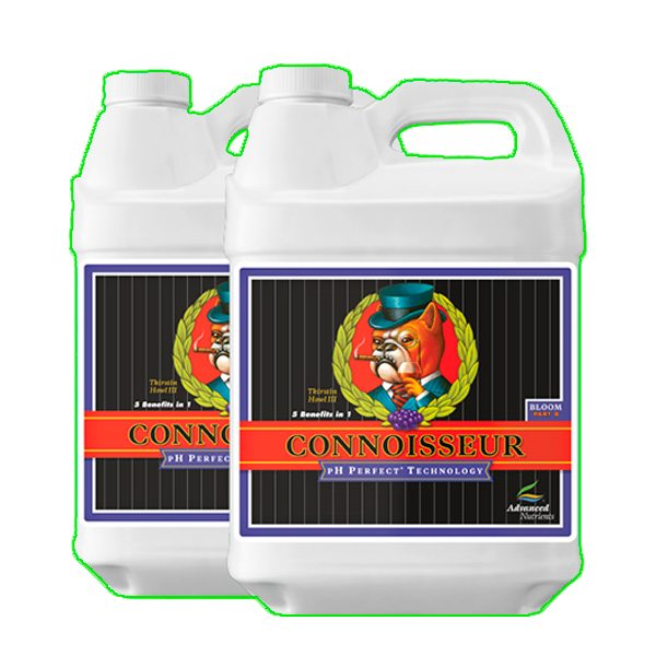 Connoisseur A+B Bloom