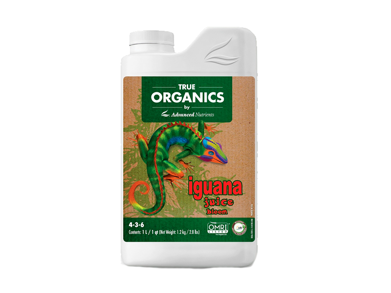 Organics Iguana Juice Bloom