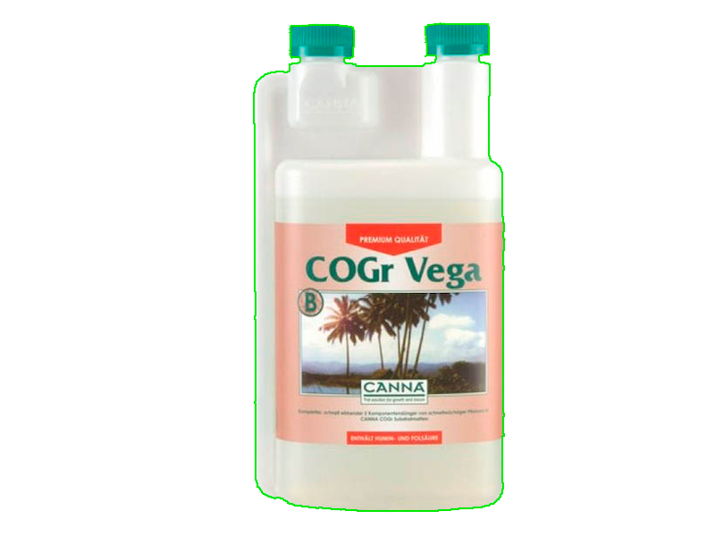 Cogr Vega B