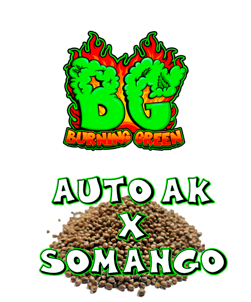 Auto Ak X Somango