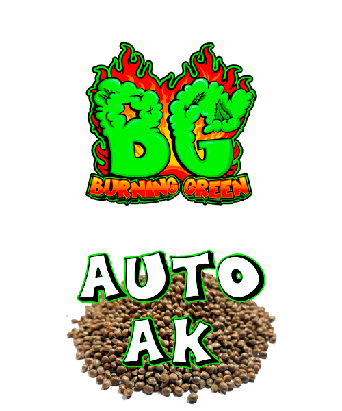 Auto Ak