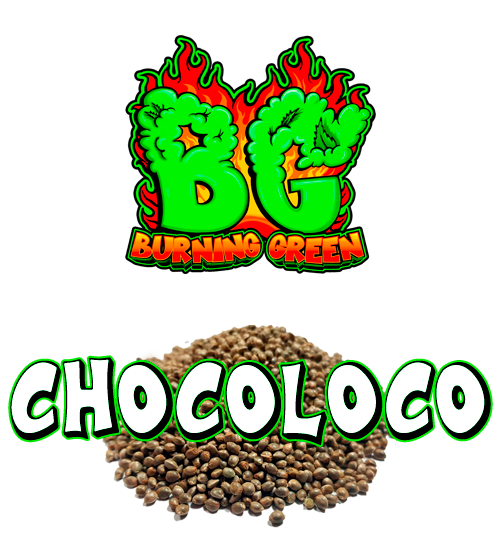 Chocoloco