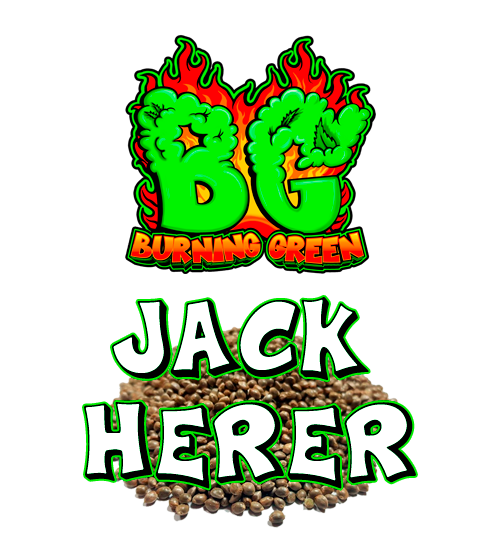 Jack Herer