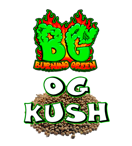 OG Kush