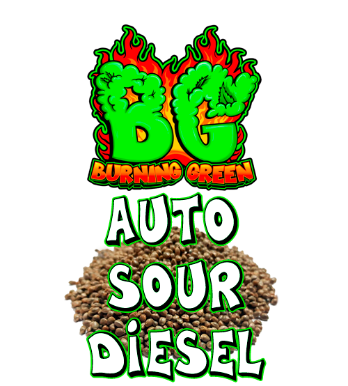 Auto Sour Diesel