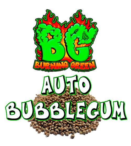 Auto Bubblegum