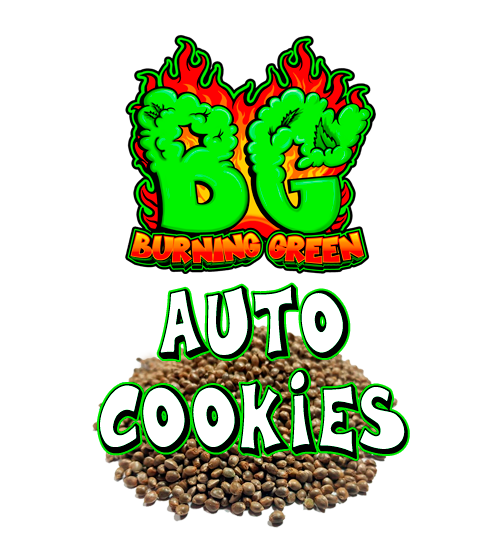 Auto Cookies