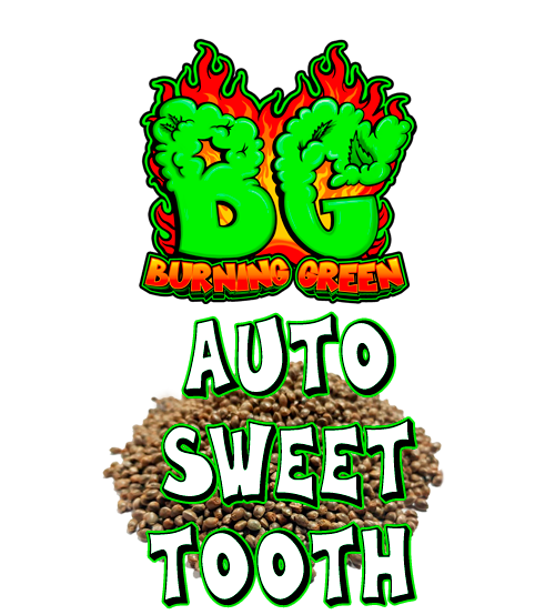 Auto Sweet Tooth ¡¡Oferta420!!