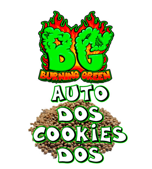 Auto Dos Cookies Dos