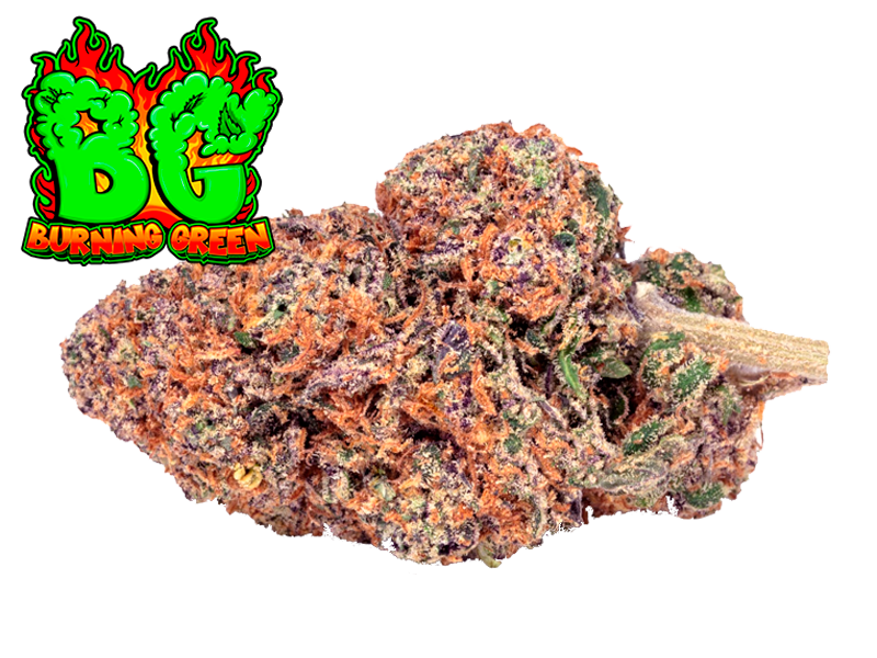 Purple Punch Indoor