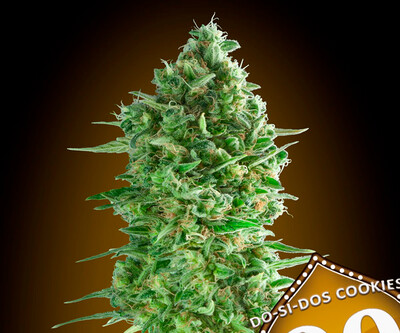 00 Do-Si-Dos Cookies