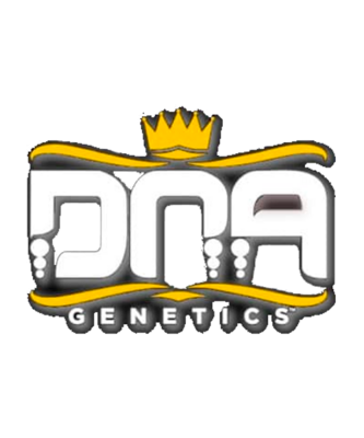 DNA Genetics