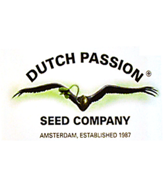 Dutch Passions