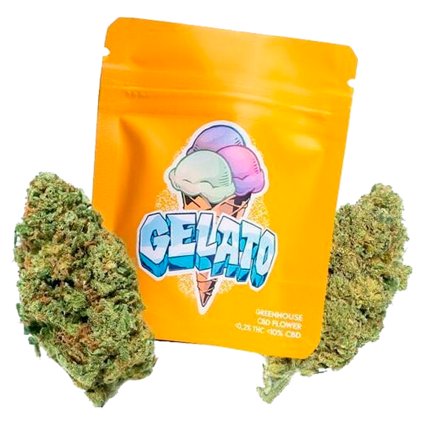 G.House Gelato Premium