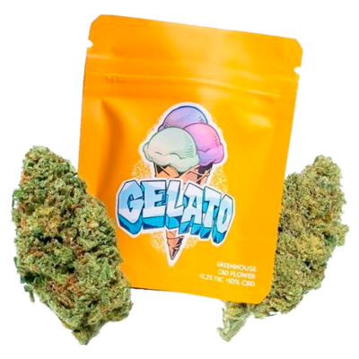 G.House Gelato Premium
