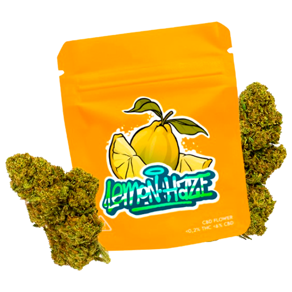 Lemon Haze Outdoor