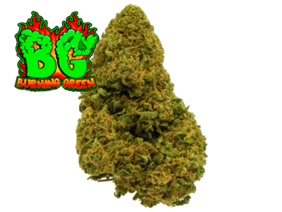 Amnesia Green House