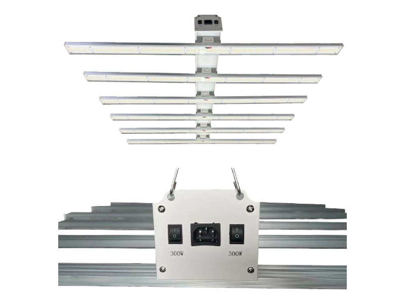 LED XT 600W