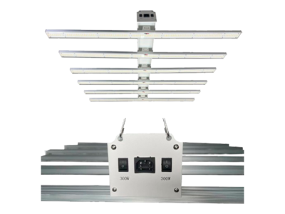 LED XT 600W