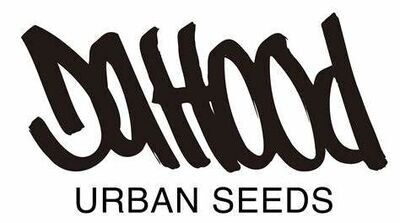 DaHood Urban Seeds