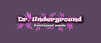 Dr Underground