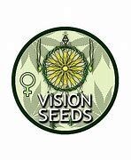 Vision Seeds