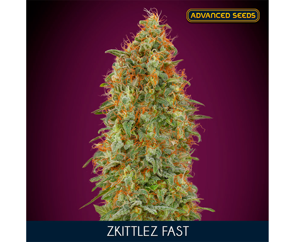 Zkittlez Fast