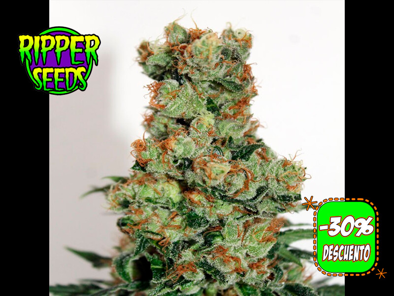 Ripper Badazz