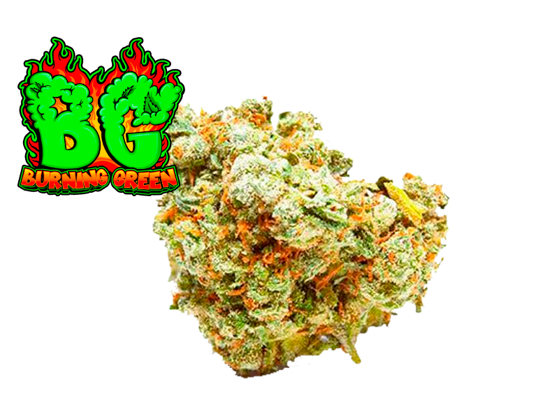 Lemon Haze Glass.House.Premium