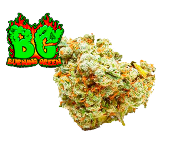Lemon Haze Glass.House.Premium