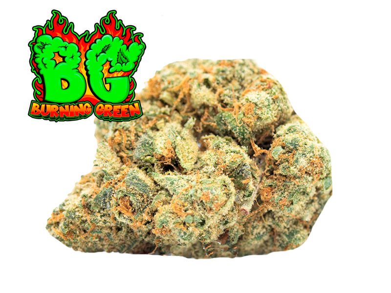 Tropicanna Cookies Indoor