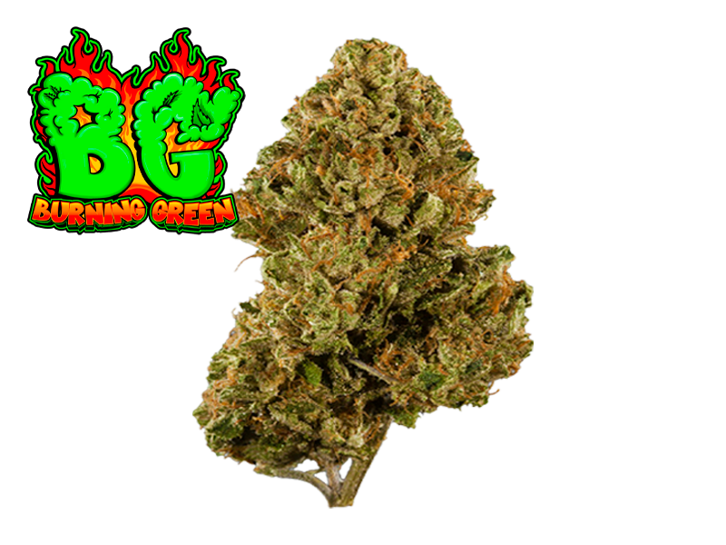 OG Kush Green.House.Premium