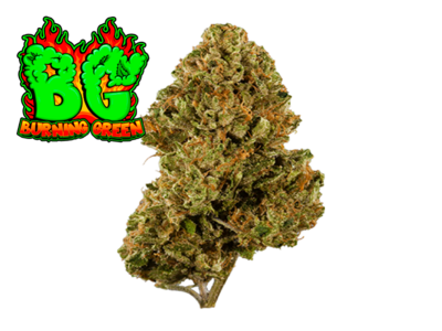 OG Kush Green.House.Premium