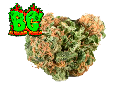 Pinneaple Kush Glass.House.Premium