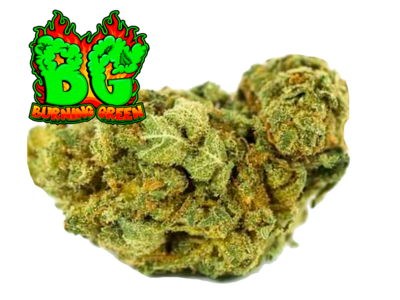 Limoncello Kush Indoor.Low.Cost