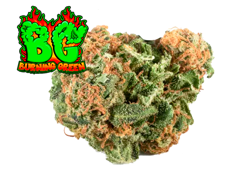 Pinneaple Kush Glass.House.Premium