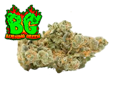 Gelato Indoor Premium
