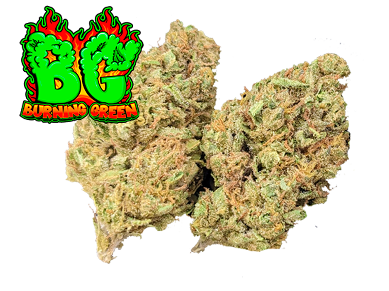 Tropicanna Runtz Indoor