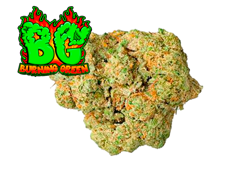 Amnesia Haze Glass.House.premium