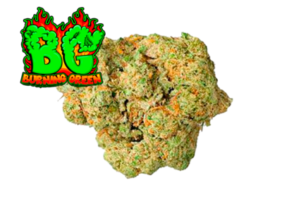 Amnesia Haze Glass.House.premium