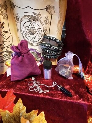 Candy Corner Parma Violet  Pendulum Charger Bags