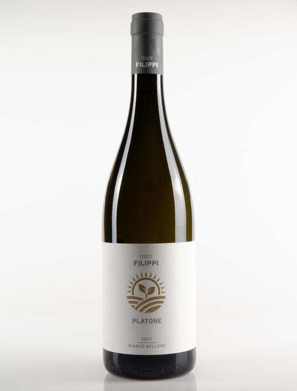 VINO PLATONE IGP BELLONE TENUTE FILIPPI CL 75 13,5% VOL.