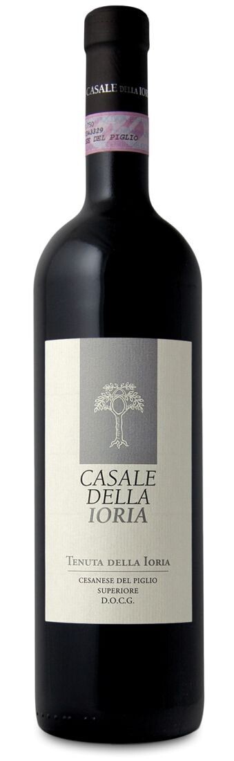 VINO CESANESE DEL PIGLIO TENUTA DELLA IORIA D.O.C.G. CASALE DELLA IORIA CL75 13,5% VOL.
