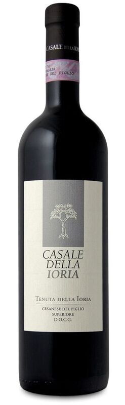 VINO CESANESE DEL PIGLIO TENUTA DELLA IORIA D.O.C.G. CASALE DELLA IORIA CL75 13,5% VOL.
