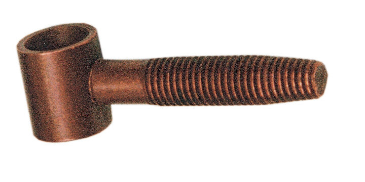 Anuba occhiolo bronzato  D.14 Pz.4