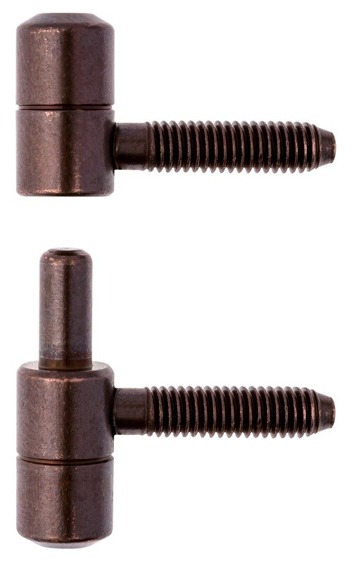 Anuba acciaio bronzato  Pz.4