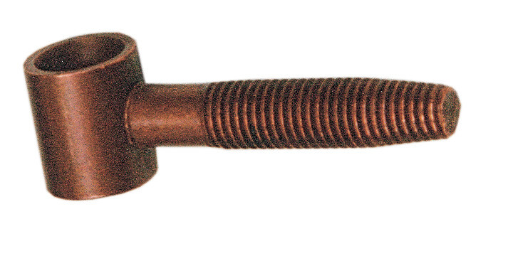 Anuba occhiolo bronzato  D.14 Pz.4
