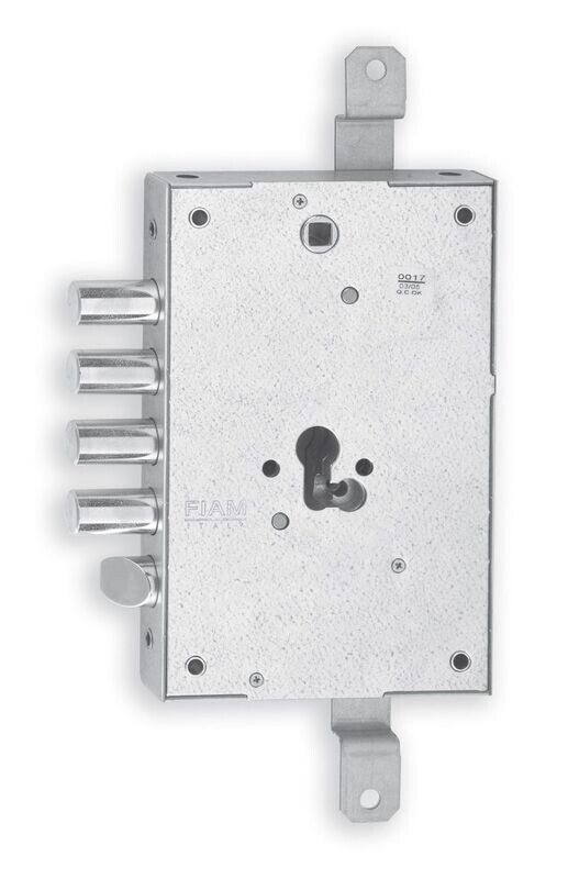 Iseo serratura per porte blindate (Mottura) Fiam