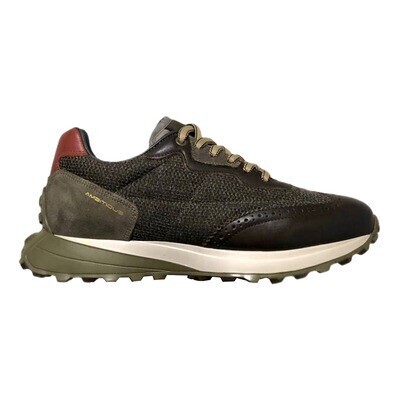 Ambitious Riley Brogue Brown - Scarpe Uomo